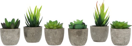 GreenDream® Mini Kunstplanten - Vetplanten in Pot 6 stuks - Cadeautip