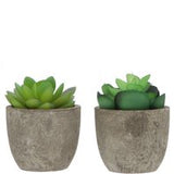 GreenDream® Mini Kunstplanten - Vetplanten in Pot 6 stuks - Cadeautip