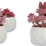 GreenDream® Kunstplanten - in - Cadeautip