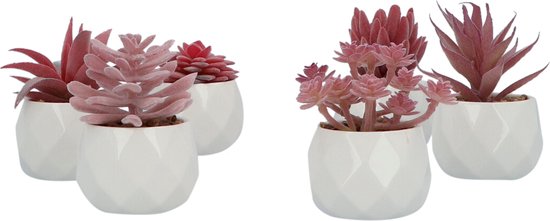 GreenDream® Kunstplanten - in - Cadeautip