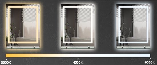 Badkamerspiegel 50x70 cm met Verlichting en Planchet