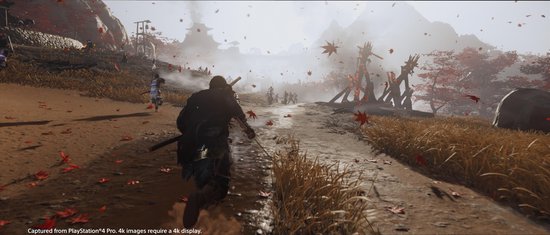 Ghost of Tsushima - Edition - PS4