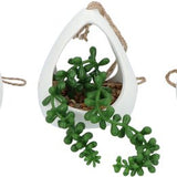 GreenDream® Kunstplanten - in - Cadeautip