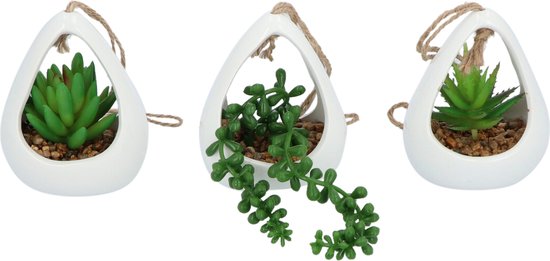 GreenDream® Kunstplanten - in - Cadeautip