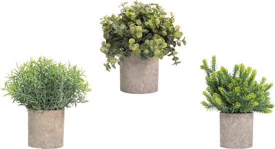 GreenDream® Kunstplanten set met 3 Kleine kunstplanten 20 cm - Cadeautip