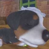 The Dog Island - Engelse versie