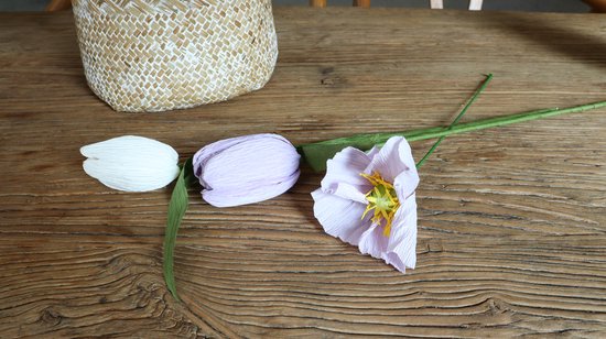 DIY Krans Maken Set van Crêpepapier Complete Creatieve Knutselset voor Papieren Bloemenkrans Inclusief Instructies voor Volwassenen en Kinderen