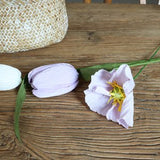 DIY Krans Maken Set van Crêpepapier Complete Creatieve Knutselset voor Papieren Bloemenkrans Inclusief Instructies voor Volwassenen en Kinderen