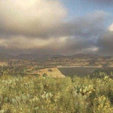 Baja - Edge of Control