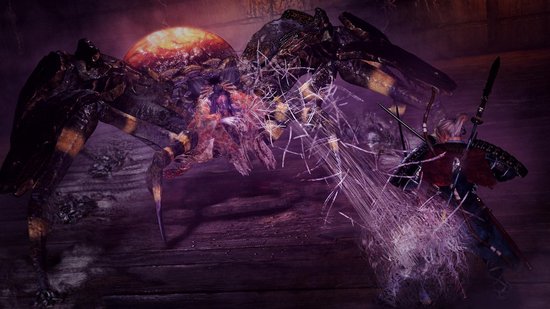 PlayStation 4 Video Game Sony Nioh, PS Hits