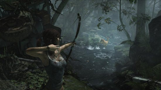 Tomb Raider (2013)