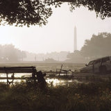 The Division