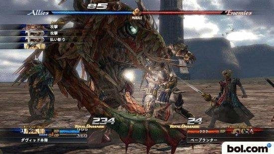 The Last Remnant