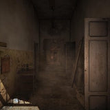 The Town of Light PS4