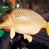 Fishing Sim World Pro Tour: Collectors Edition