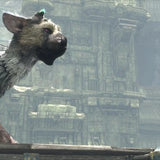 Sony The Last Guardian, PS4