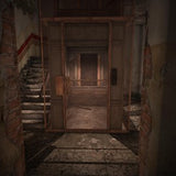 The Town of Light PS4