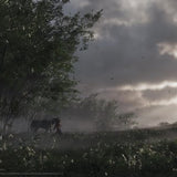 Ghost of Tsushima - Edition - PS4