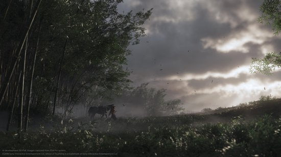 Ghost of Tsushima - Edition - PS4