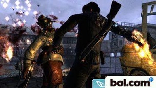 Dark Sector