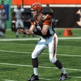 Madden NFL 10