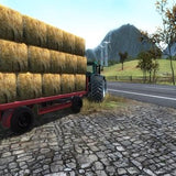 Professional Farmer 2017