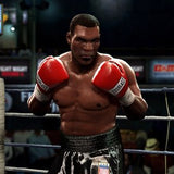 Fight Night Round 4