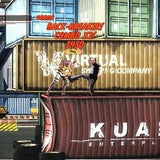 Kung Fu High Impact (Xbox Kinect)