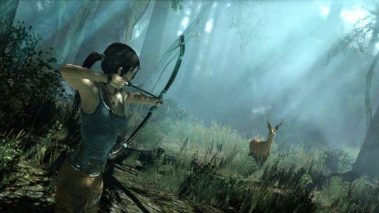 Tomb Raider (2013)