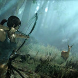 Tomb Raider (2013)