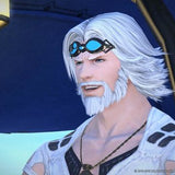 Final Fantasy XIV: A Realm Reborn