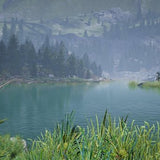 Fishing Sim World Pro Tour: Collectors Edition