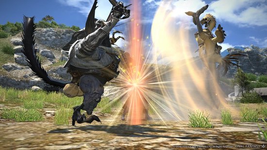 Final Fantasy XIV: A Realm Reborn