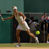 Grand Slam Tennis 2