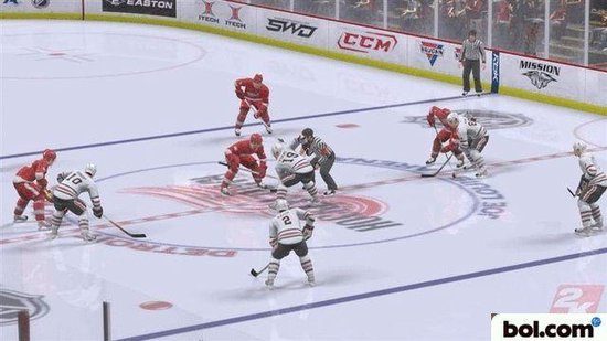 NHL 2K9