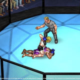 Fire Pro Wrestling World - PS4