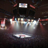EA Sports MMA