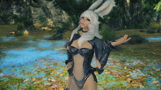 Final Fantasy XIV Complete Edition- PC