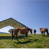 ShelterLogic® Weidetent SL58542 - 680x730x380cm - Groen