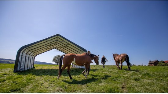 ShelterLogic® Weidetent SL58542 - 680x730x380cm - Groen