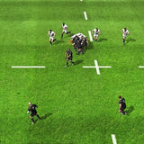 Rugby World Cup 2015