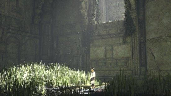 Sony The Last Guardian, PS4