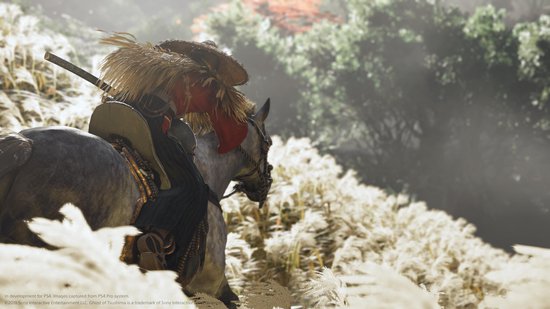 Ghost of Tsushima - Edition - PS4