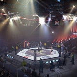 EA Sports MMA