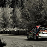 WRC World Rally Championship 2010