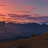 Grand Theft Auto 5 - DE