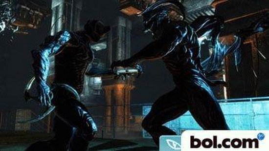 Dark Sector