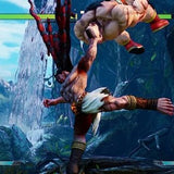 Street Fighter V