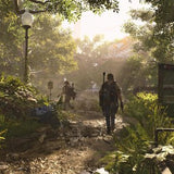 The Division