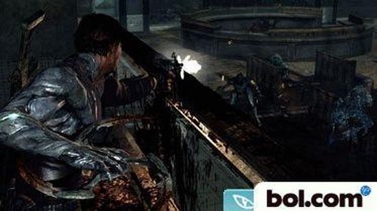 Dark Sector